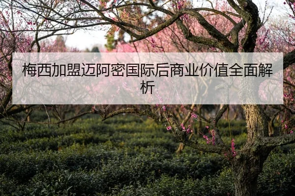 梅西加盟迈阿密国际后商业价值全面解析